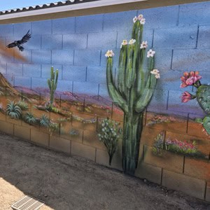 backyard mural cactus sunset