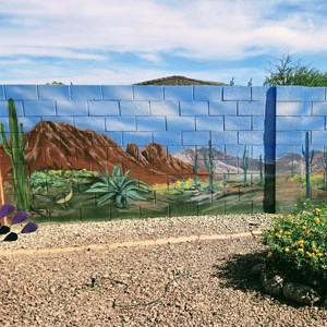 backyard mural desert mountain