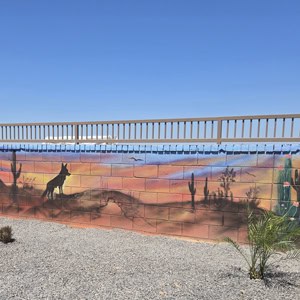 backyard mural sunset coyote