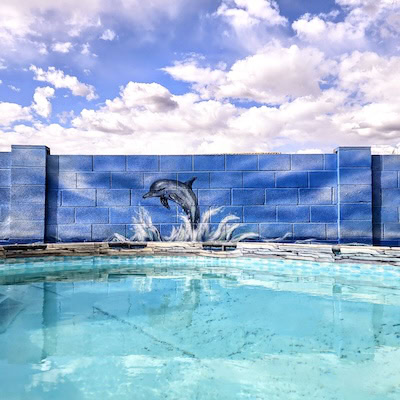 Dolphin jumping over a pool.